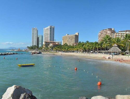what to do in puerto vallarta