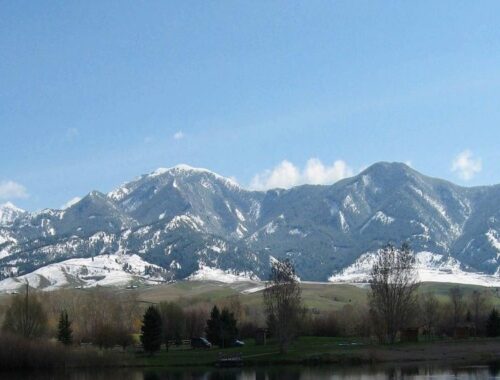 things to do in Bozeman in winter