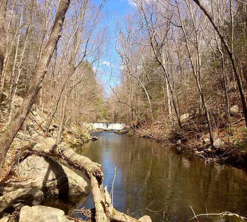 Free things to do in Stamford CT